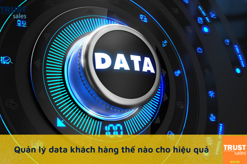 Quản lý data khách hàng thế nào để mang lại tính hiệu quả cao?